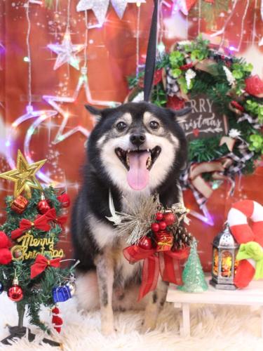 20231209琥太郎くん 